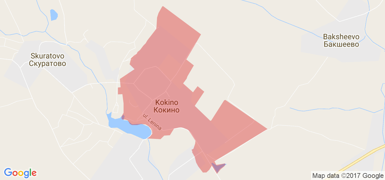 Google карта брянск