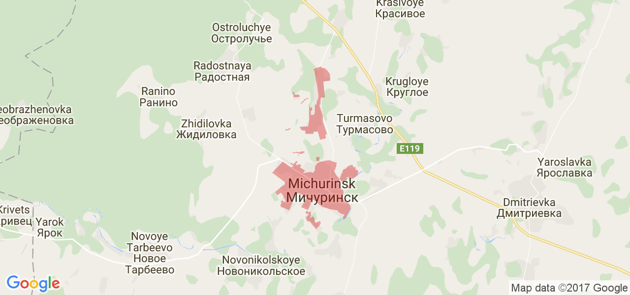 Покажи карту мичуринска. Мичуринск на карте. Город Мичуринск на карте. Город Мичуринск Тамбовской области на карте. Мичуринск на карте России.