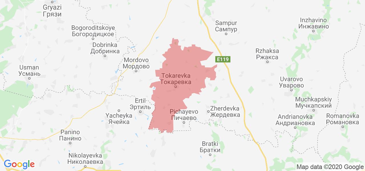 Изображение Токарёвского района Тамбовской области на карте