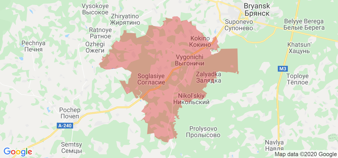 Изображение Выгоничского района Брянской области на карте