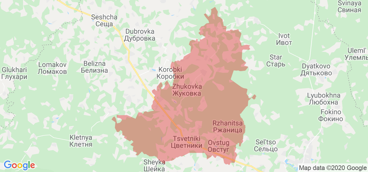 Изображение Жуковского района Брянской области на карте