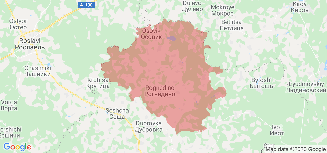 Изображение Рогнединского района Брянской области на карте Изображение Рогнединского района Брянской области на карте