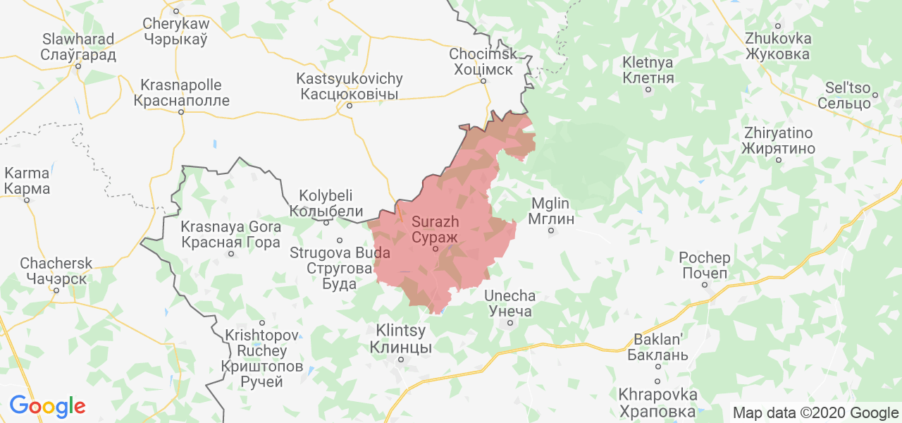 Изображение Суражского района Брянской области на карте