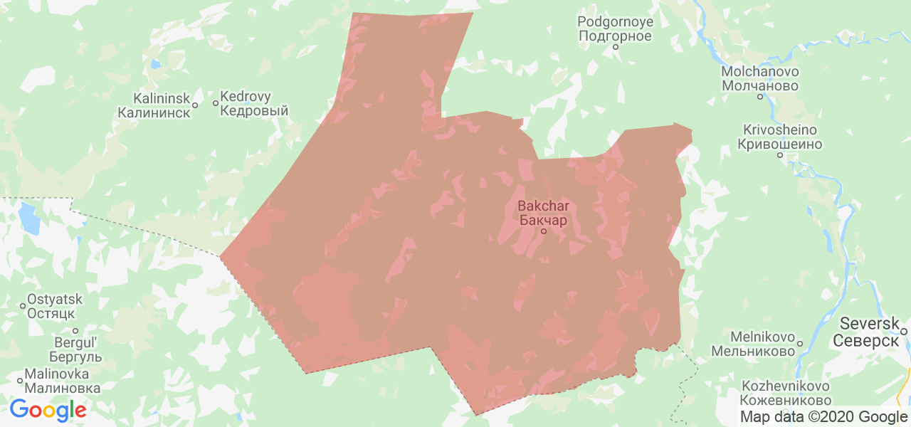 Изображение Бакчарского района Томской области на карте