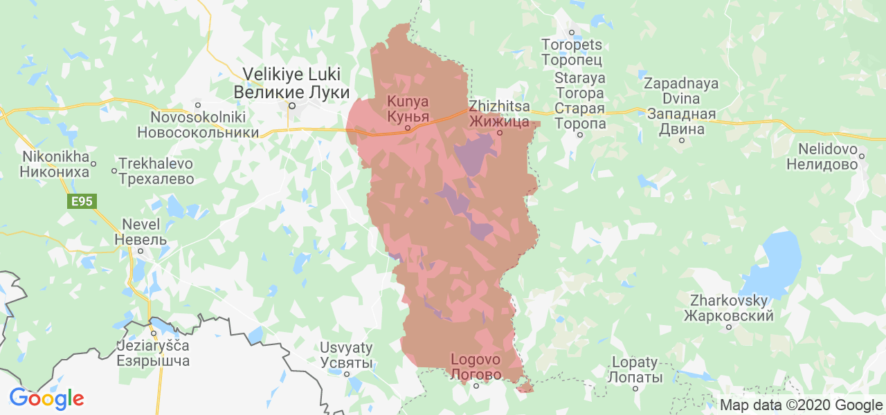 Изображение Куньинского района Псковской области на карте