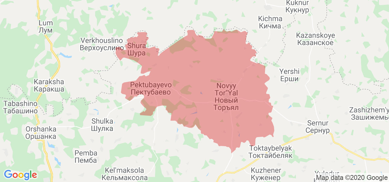 Изображение Новоторъяльского района Республики Марий Эл на карте