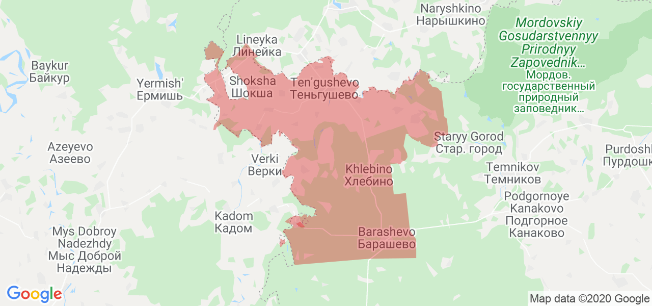 Изображение Теньгушевского района Республики Мордовия на карте