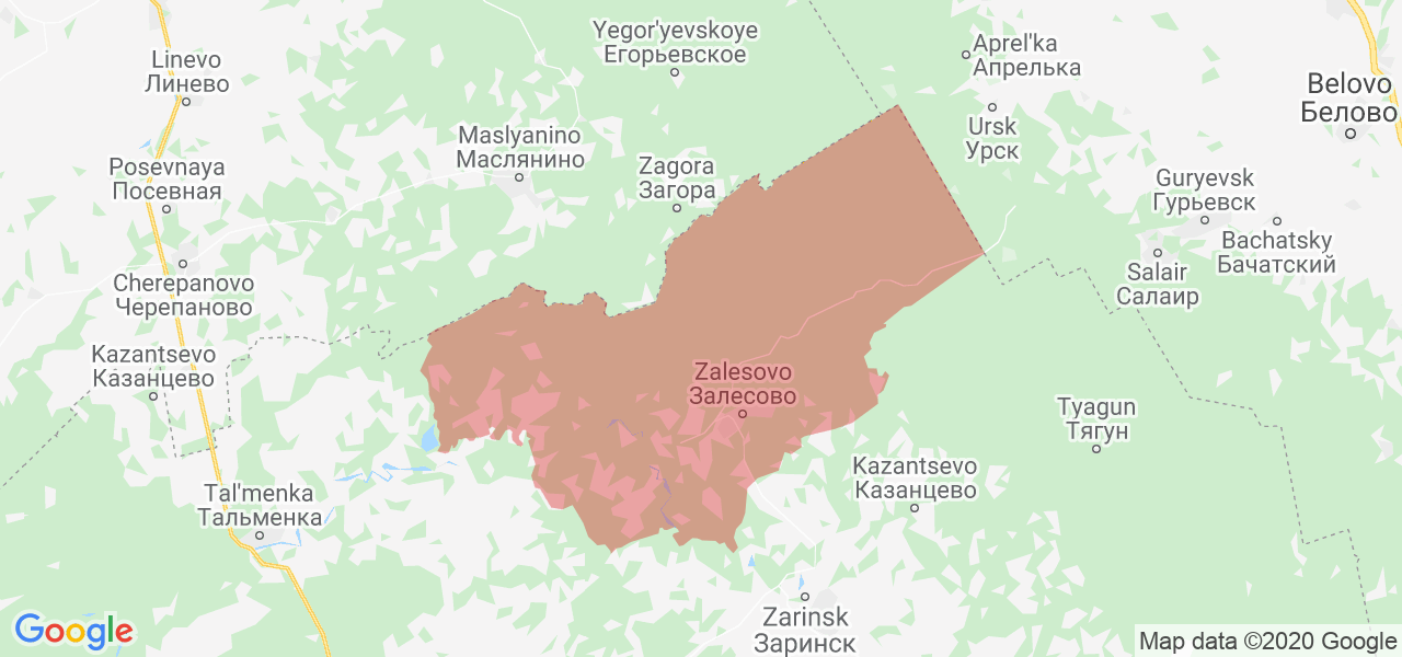 Изображение Залесовского района Алтайского края на карте